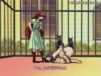 Cute anime pet owner gets fucked by her horny zoophilia dogs
